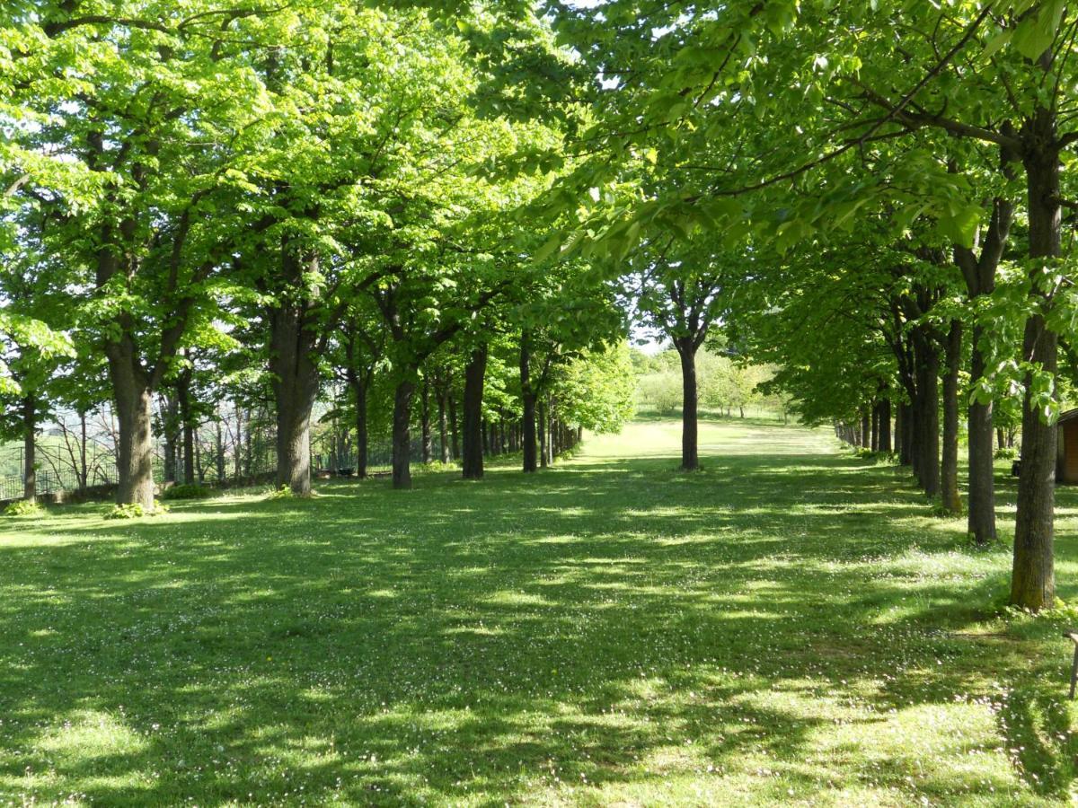 B&B Poggio San Luca Bolonya Dış mekan fotoğraf